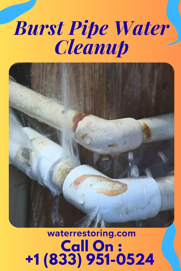 Burst Pipe Water Cleanup in Beaver, IA