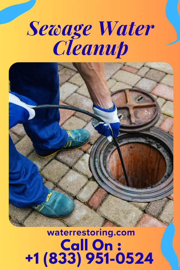 Sewage Water Cleanup in Beaver, IA